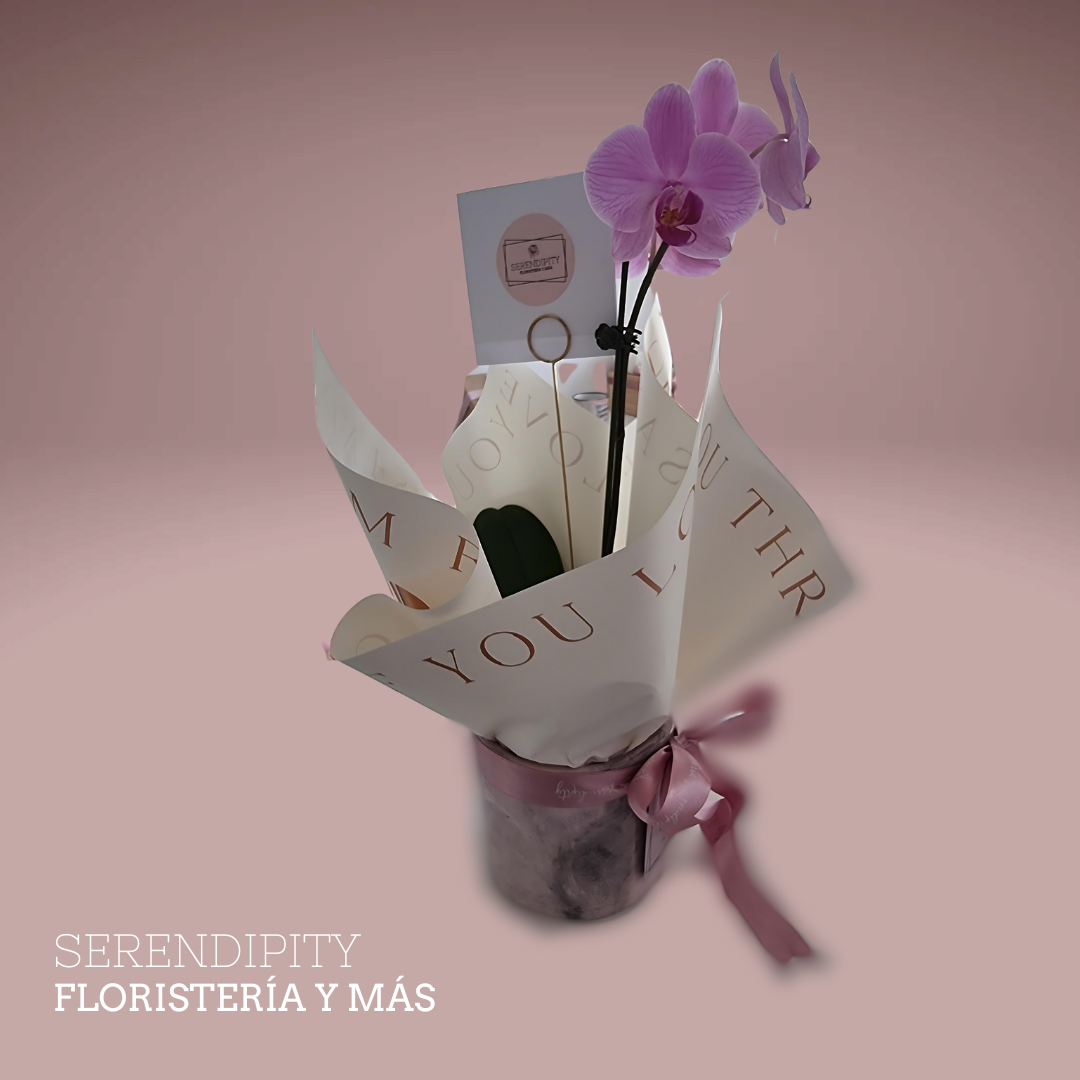 Floreria_serendipity_diseño floral_regalos_9